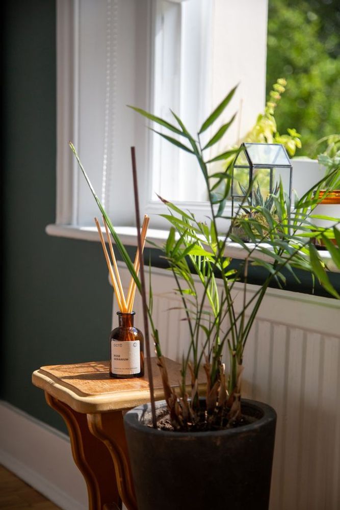 Objets de décoration - Diffuseur d'huiles essentielles - Lavande + Bergamote + Néroli - OCTŌ