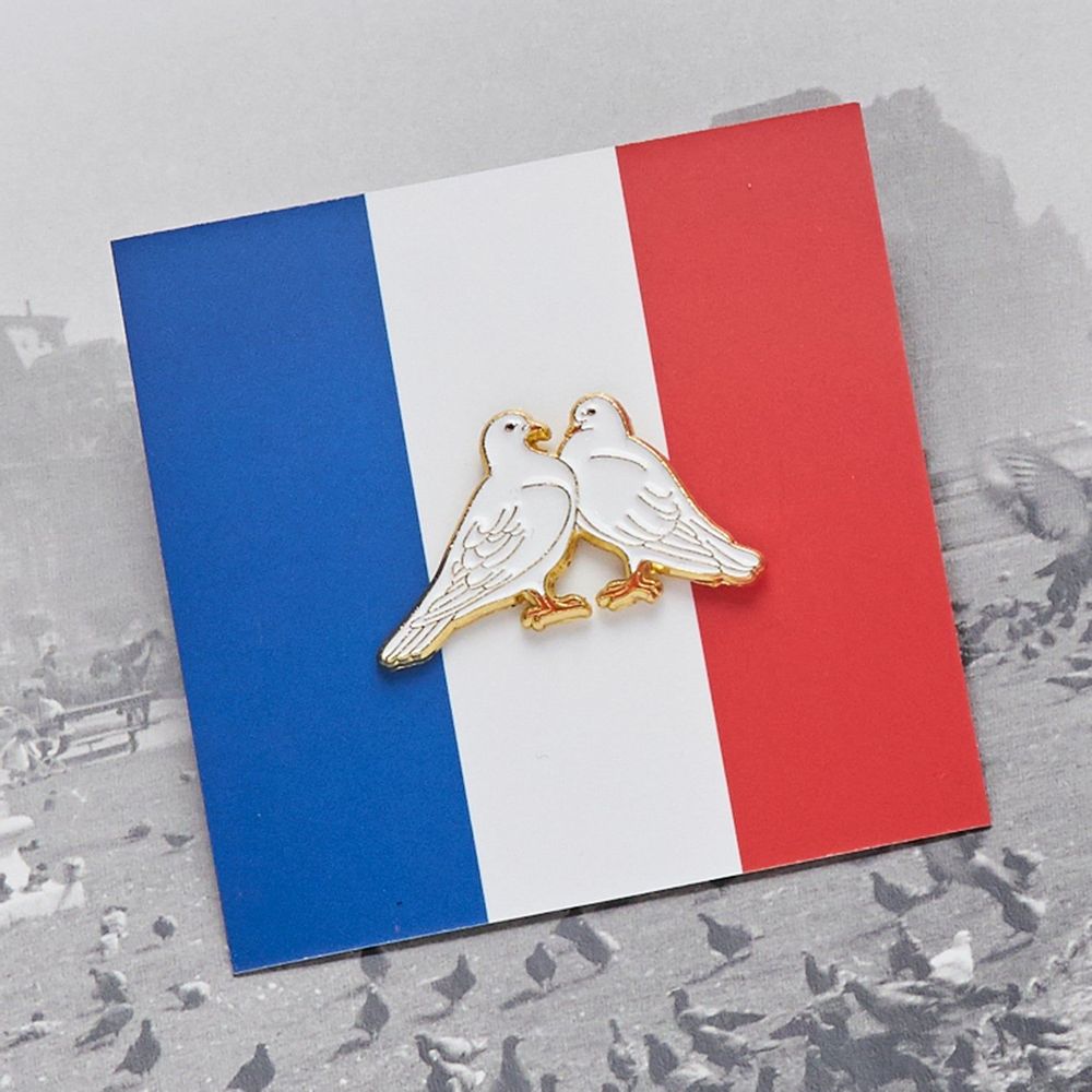 Brooches - Pin Doves - PINPINPIN.IT