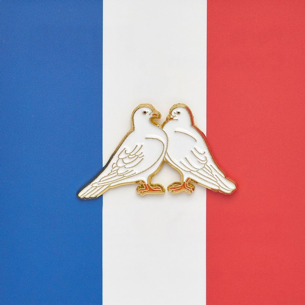 Brooches - Pin Doves - PINPINPIN.IT