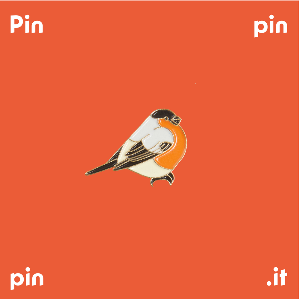 Broches - Pin's Bouvreuil - PINPINPIN.IT