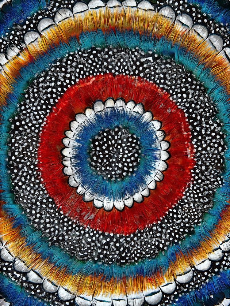 Tableaux - TRYPTIQUE HYPNOTIQUE - FANNY LITZIA