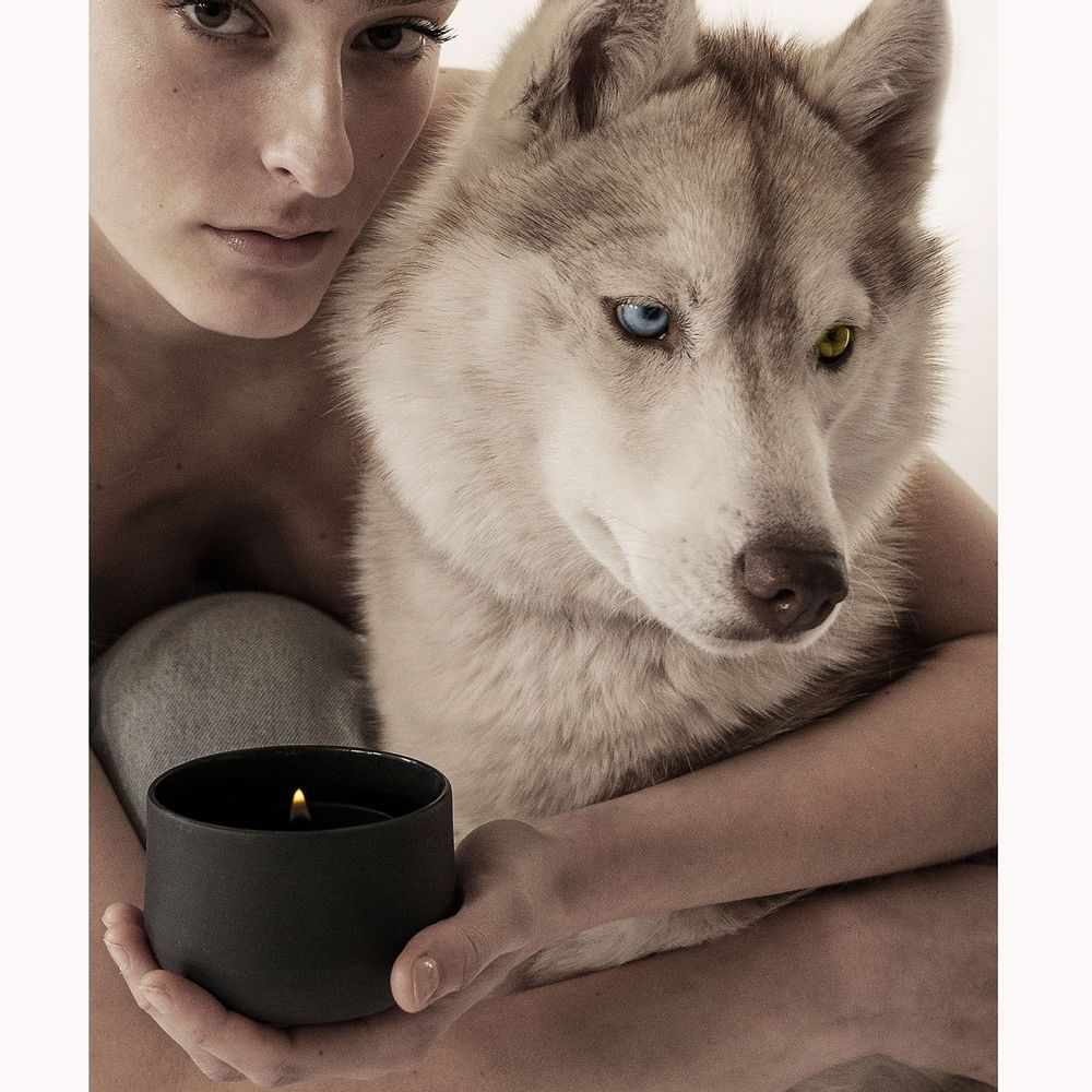 Bougies - BOUGIE JUGG - SOPHIE MASSON PORCELAINE