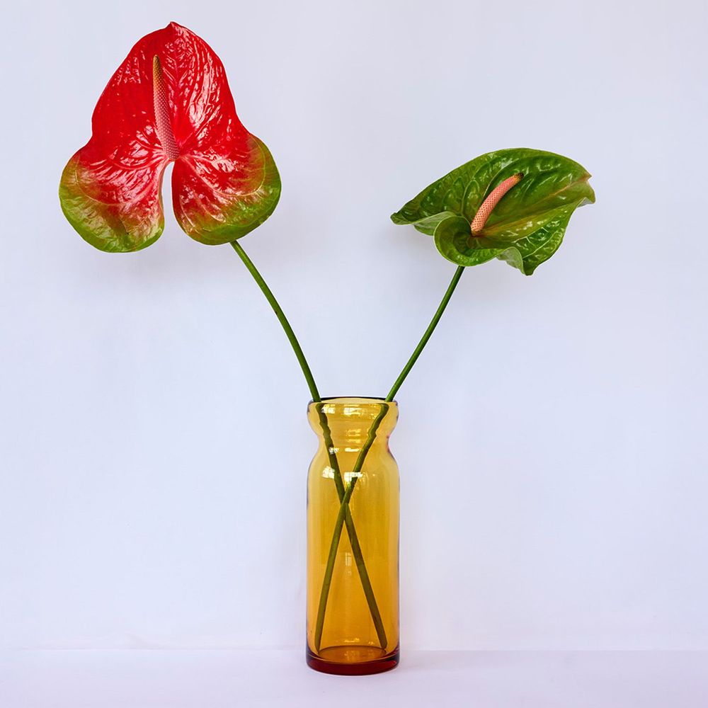 Vases - LICATA - STUDIO BOJOLA