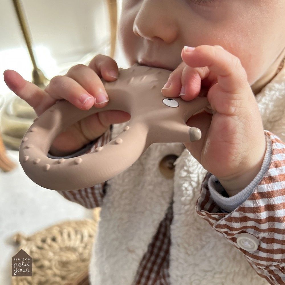 Bain pour enfant - Anneau de dentition en caoutchouc naturel - hérisson - PETIT JOUR PARIS