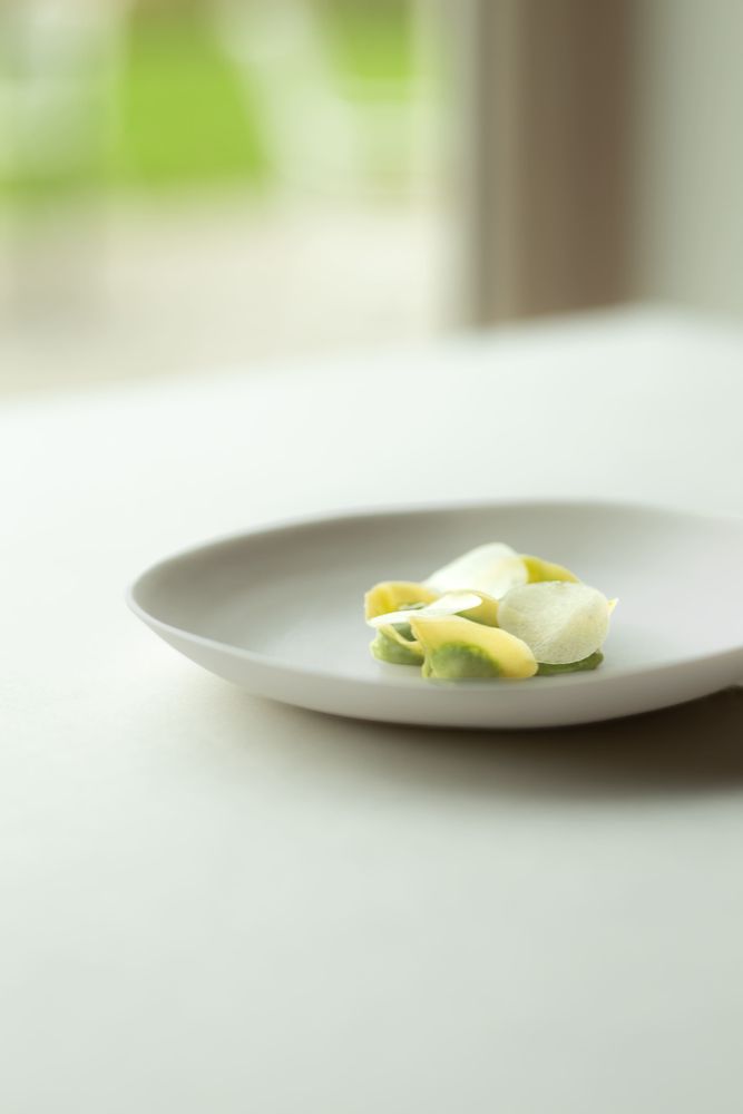 Formal plates - A. KLUGMANN collection - L ARTE NEL POZZO
