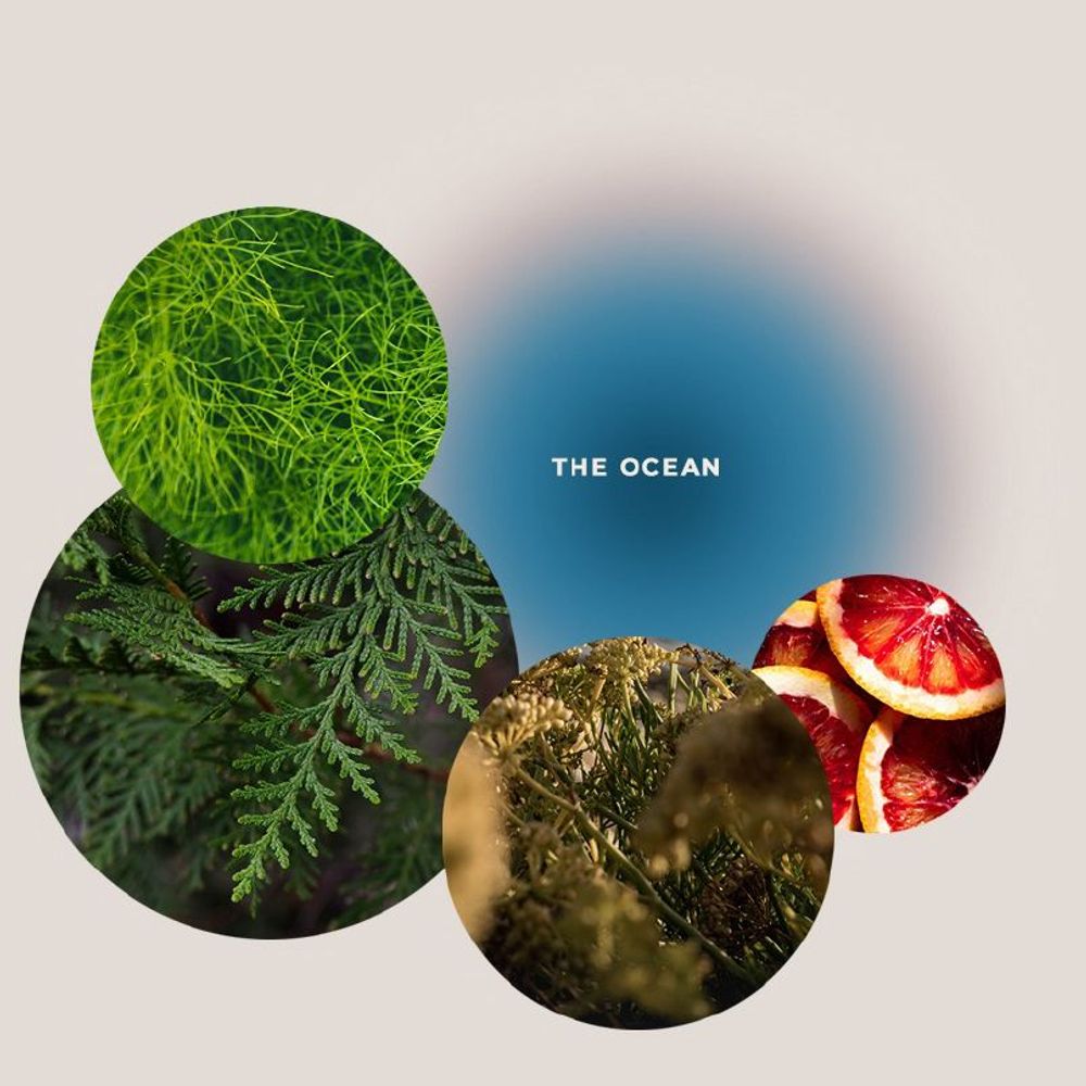 Beauty products - Care and Massage Oil THE OCEANS Clear Spirit & Vitality 200 ml - GIVING LOVE TO