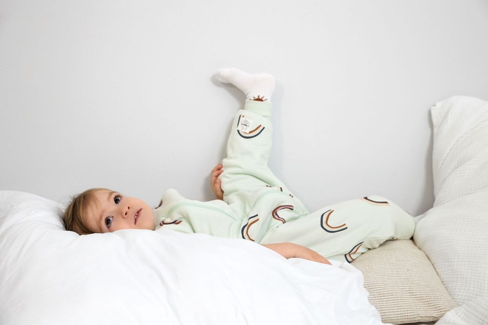 Kids accessories - LÄSSIG Sleeping Jumper TOG 2.5 - LASSIG GMBH