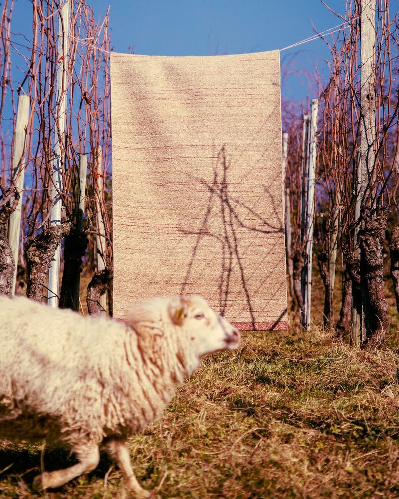 Tapis design - BRUT NATURE - DESIGNERCARPETS DRECHSLE