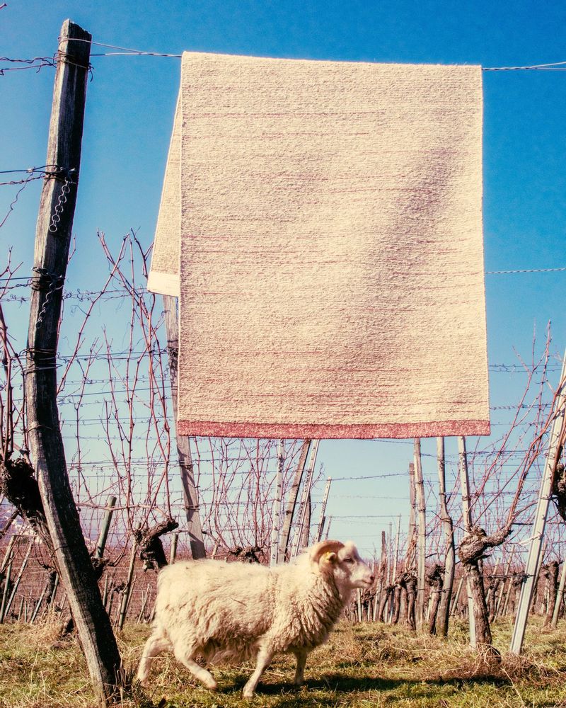 Tapis design - BRUT NATURE - DESIGNERCARPETS DRECHSLE