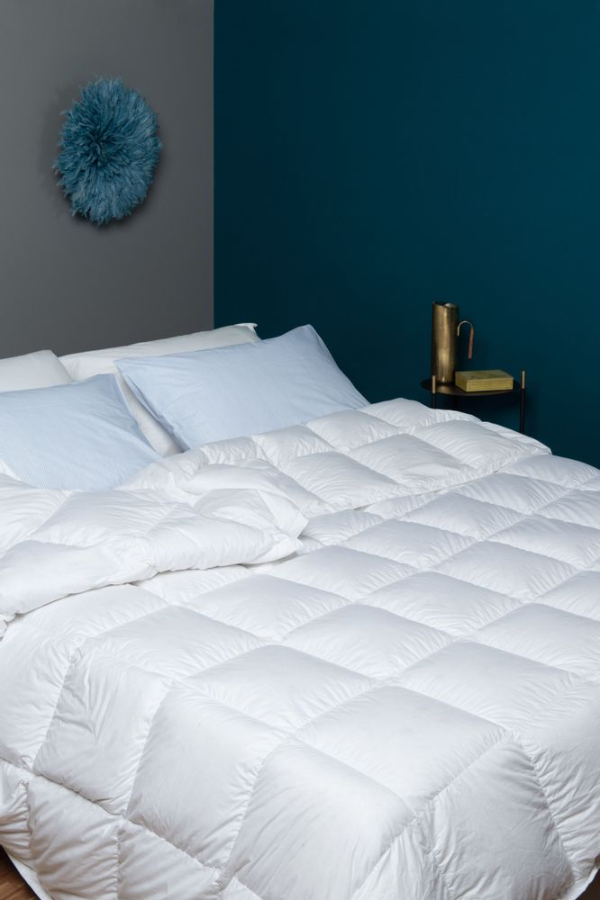 Couettes et oreillers - Duvet Ultra - MINARDI