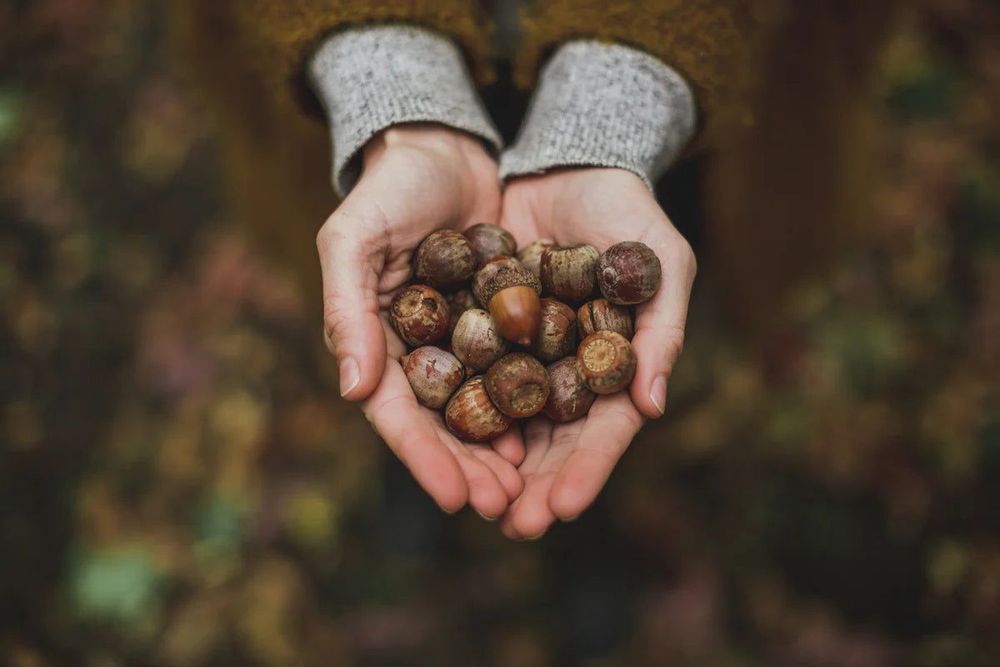 Decorative objects - The Art Of Slow Living - NEW MAGS