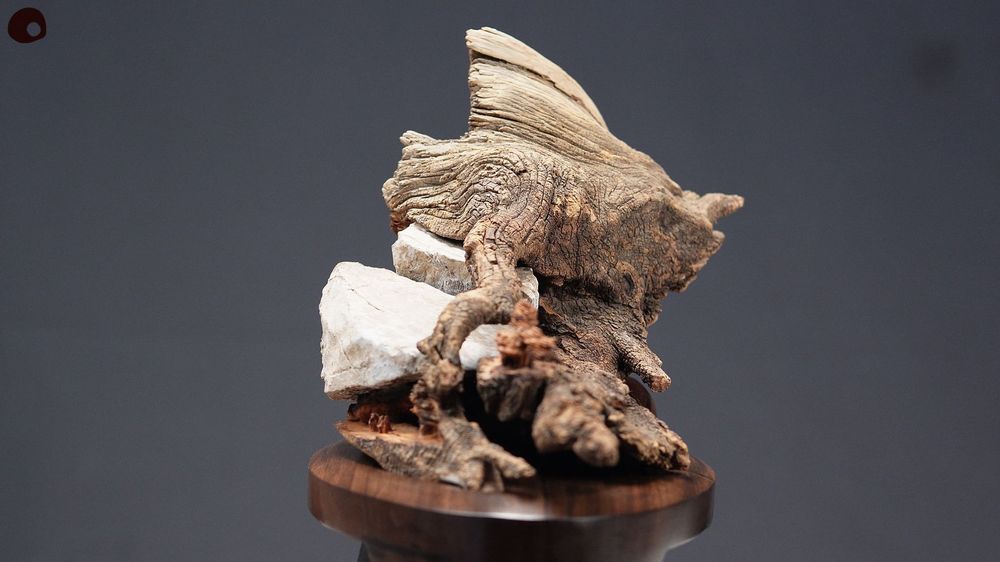 Unique pieces - Wood sculpture wrapped in stone - MÙ STUDIO