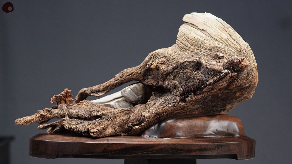 Unique pieces - Wood sculpture wrapped in stone - MÙ STUDIO
