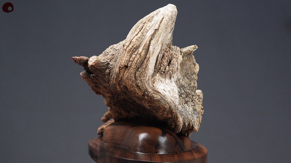 Unique pieces - Wood sculpture wrapped in stone - MÙ STUDIO