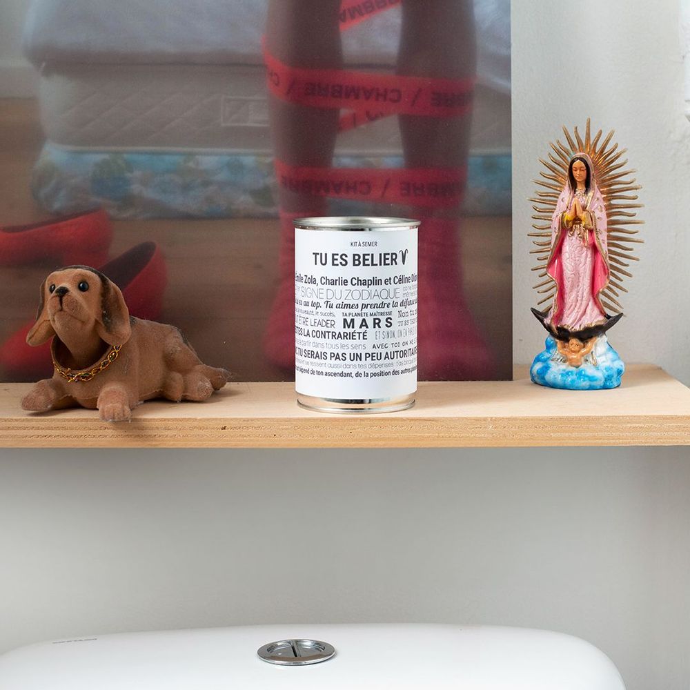 Cadeaux - Kits à semer "Bélier" en collab avec "Tout est Dit" - MAUVAISES GRAINES