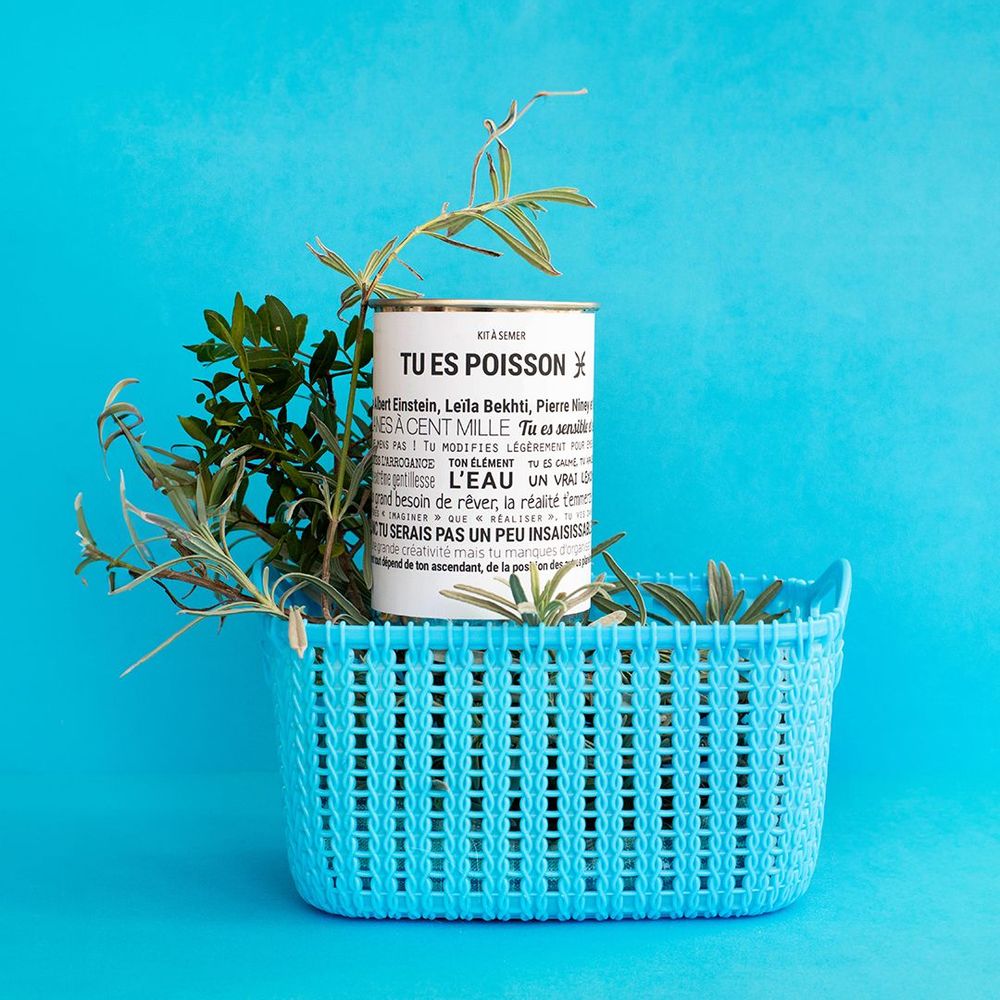 Gifts - Sowing kits\" Poisson\” in collaboration with\ "Tout est dit\" - MAUVAISES GRAINES