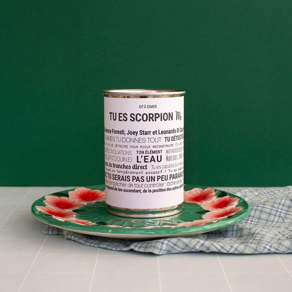 Cadeaux - Kits à semer "Scorpion" en collab avec "Tout est Dit" - MAUVAISES GRAINES