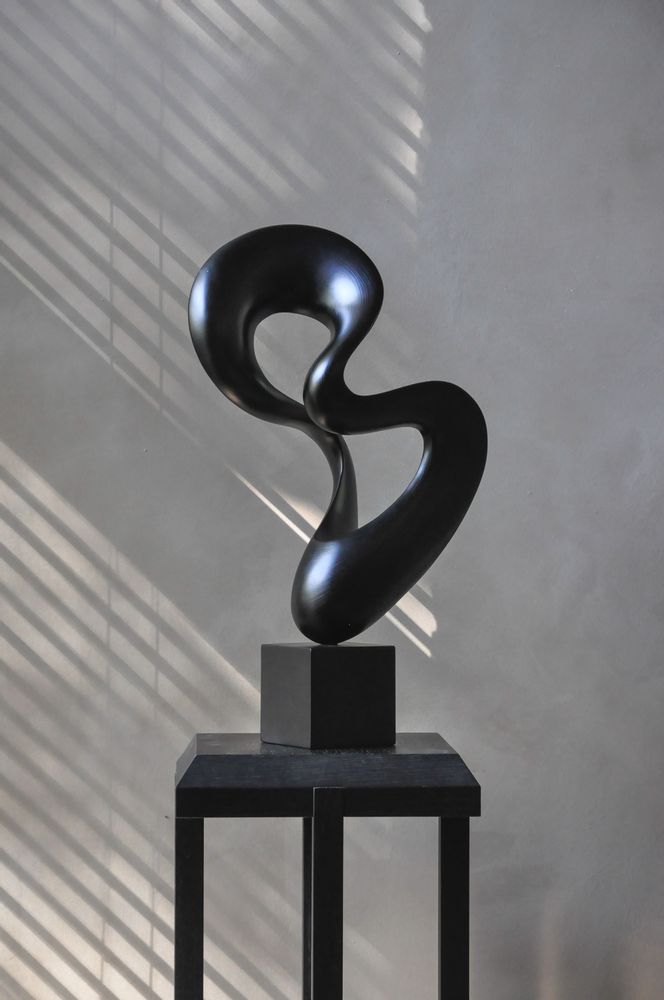 Sculptures, statuettes et miniatures - Solar Matt Line Black Sculpture - DV DESIGN