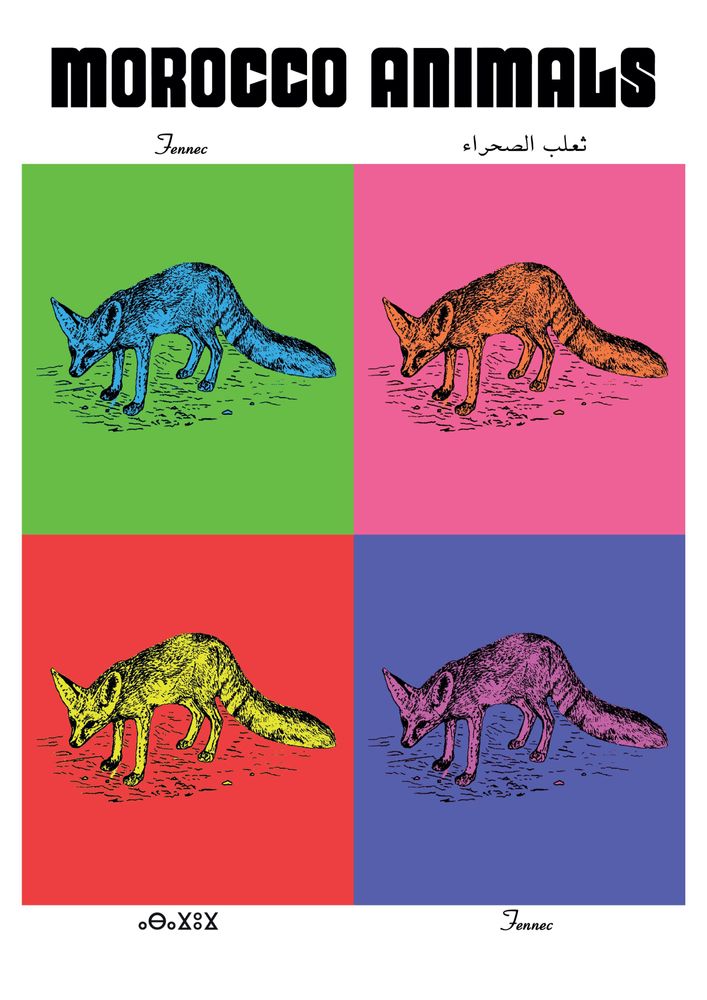 Affiches - Affiche : planche zoologique FENNEC version POP - THE VINTAGE FACTORY - AFFICHES EXCLUSIVES MADE IN MOROCCO