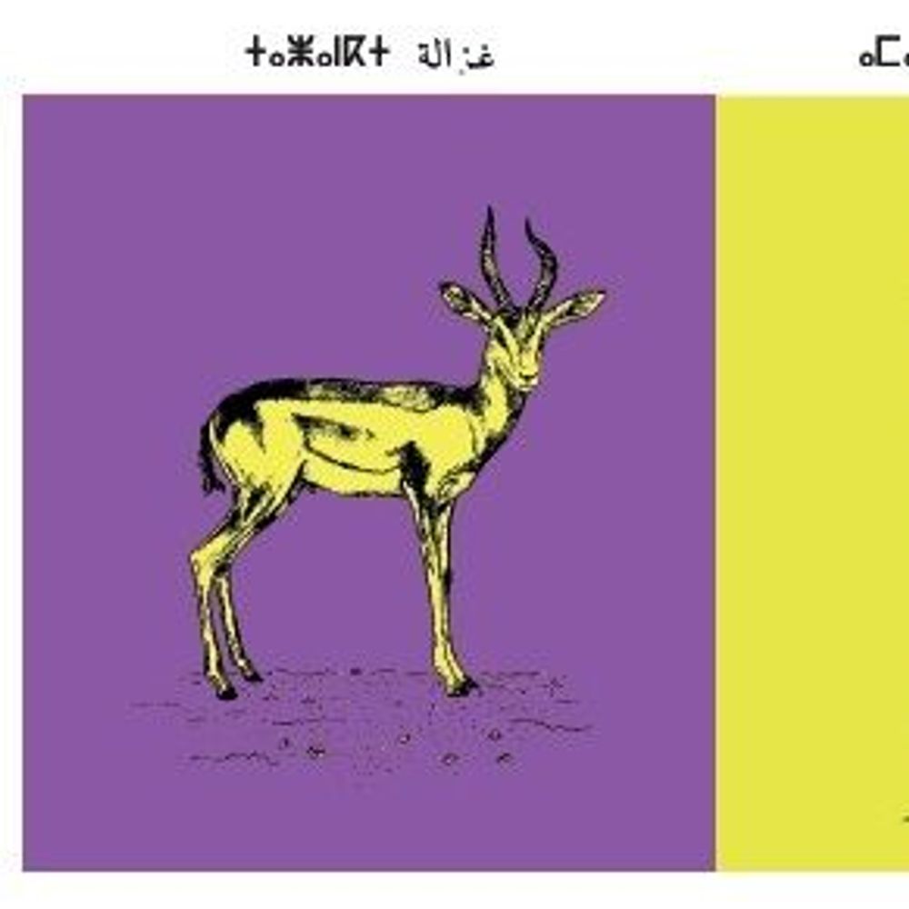 Affiches - Affiche : planche zoologique de 8 animaux du Maroc, version POP - THE VINTAGE FACTORY - AFFICHES EXCLUSIVES MADE IN MOROCCO