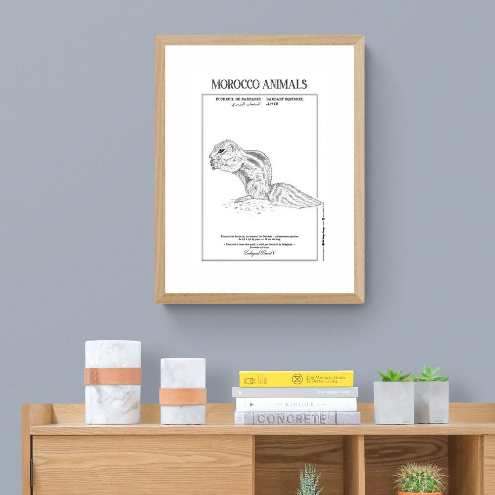 Affiches - Affiche : planche zoologique ANE - THE VINTAGE FACTORY - AFFICHES EXCLUSIVES MADE IN MOROCCO