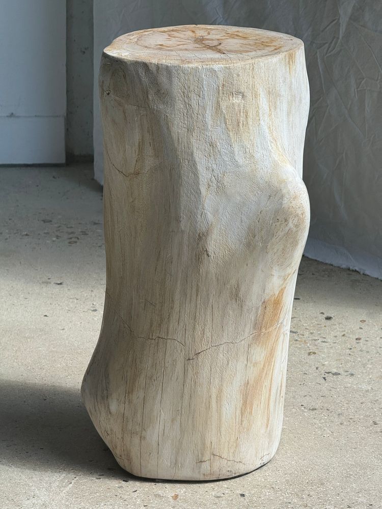 Other tables - Large white petrified wood side table with organic knot H:50 D:22-25 - OFFICE OBJETS