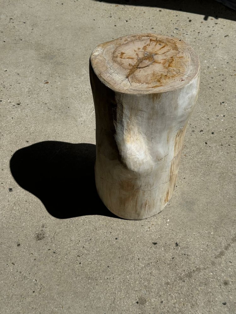 Other tables - Large white petrified wood side table with organic knot H:50 D:22-25 - OFFICE OBJETS