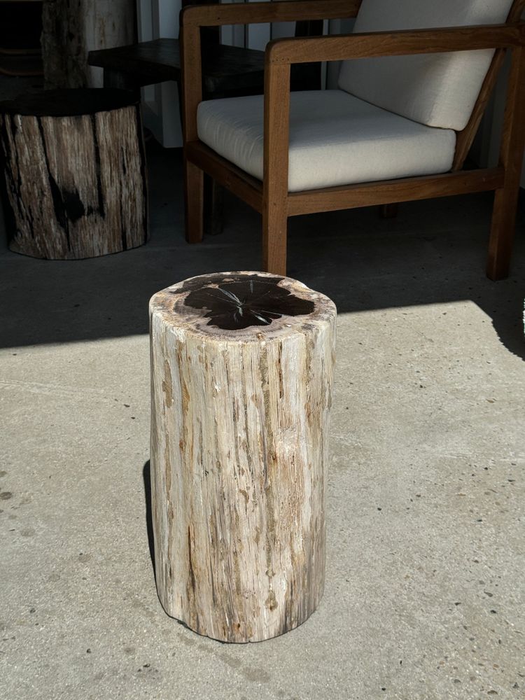 Autres tables - Grande table d'appoint en bois pétrifié écorce blanche cœur noir H:47 D:23-5 - OFFICE OBJETS