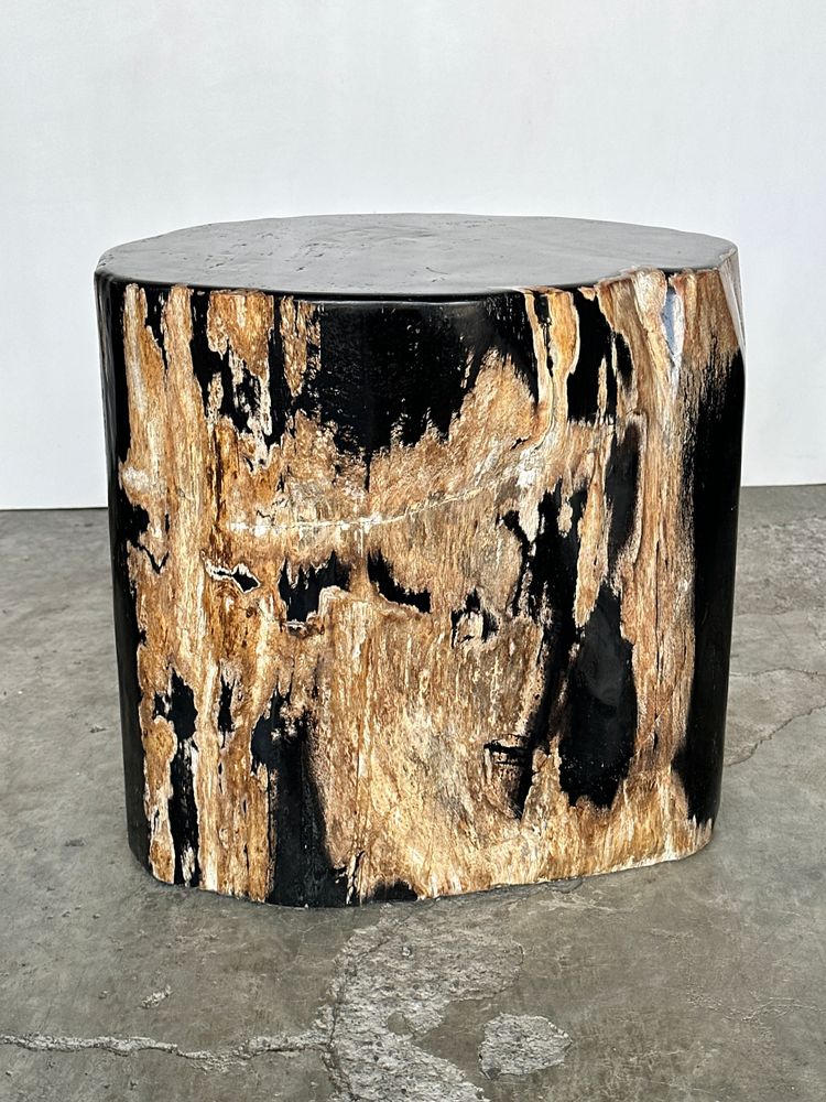 Other tables - Large petrified wood side table, organic shape, predominantly black H:40 D:34-42 - OFFICE OBJETS