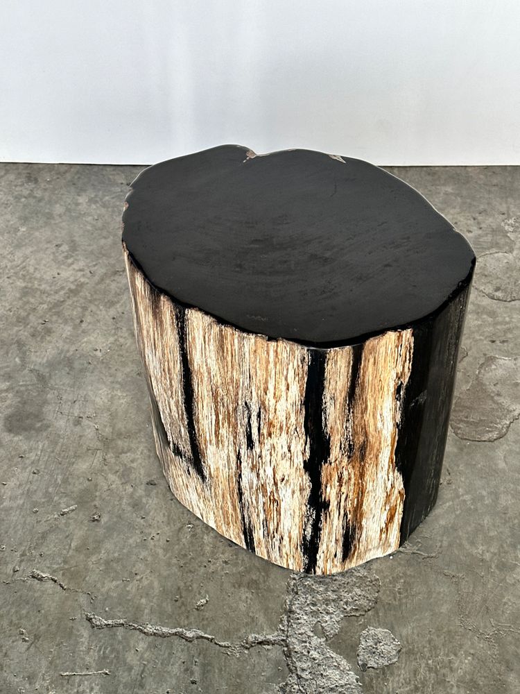 Other tables - Large petrified wood side table, organic shape, predominantly black H:40 D:34-42 - OFFICE OBJETS