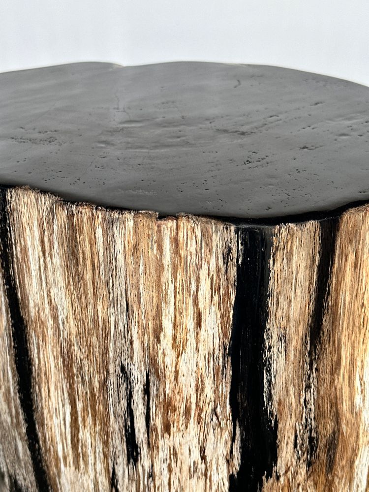 Other tables - Large petrified wood side table, organic shape, predominantly black H:40 D:34-42 - OFFICE OBJETS