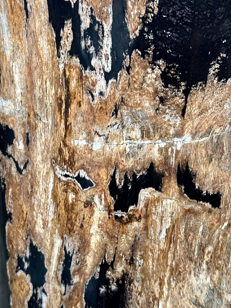 Other tables - Large petrified wood side table, organic shape, predominantly black H:40 D:34-42 - OFFICE OBJETS