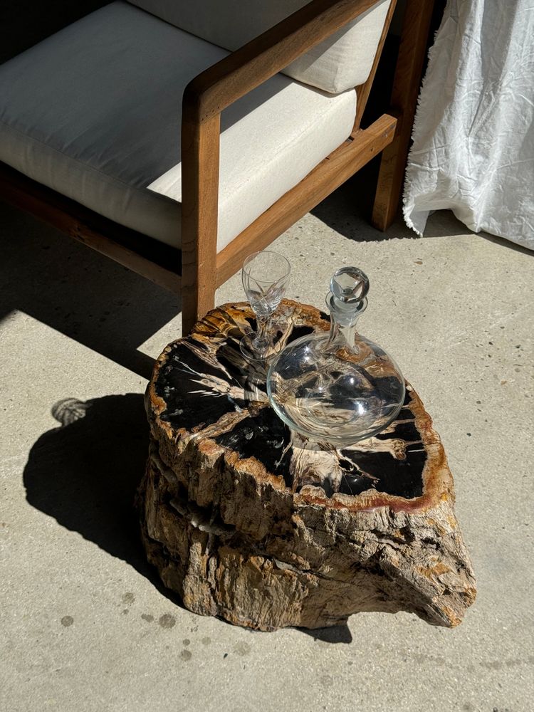 Other tables - Large side table in multi-colored rainbow petrified wood with bark D:32-40 H:40 - OFFICE OBJETS
