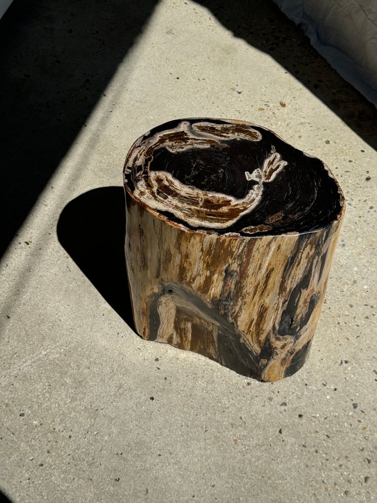 Other tables - Large black multicolor organic petrified wood side table H:45 D:26-36 - OFFICE OBJETS