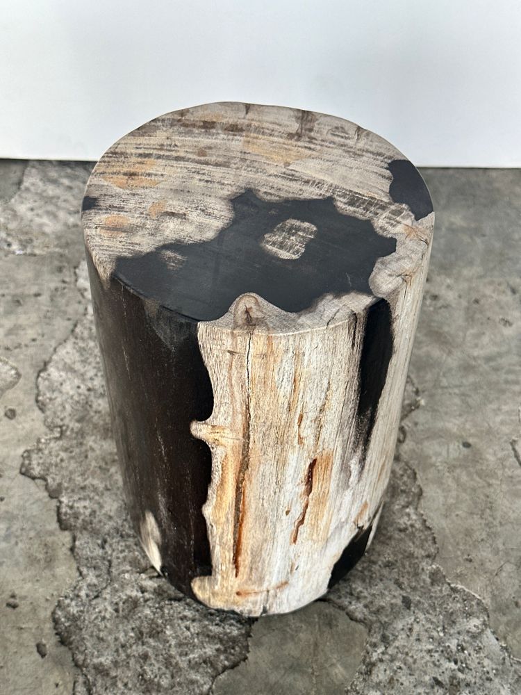 Autres tables - Petite table d'appoint en bois pétrifié noire et blanche H28cm D:18 - OFFICE OBJETS