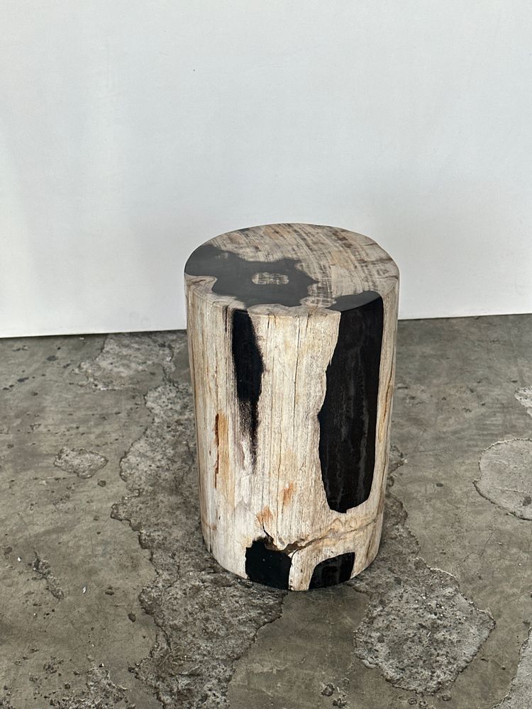 Autres tables - Petite table d'appoint en bois pétrifié noire et blanche H28cm D:18 - OFFICE OBJETS