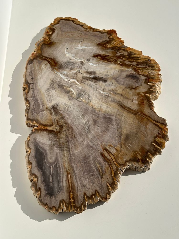 Platter and bowls - Organic dish in beige petrified times - OFFICE OBJETS