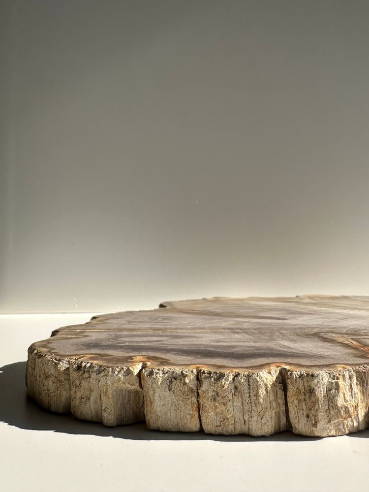 Platter and bowls - Organic dish in beige petrified times - OFFICE OBJETS