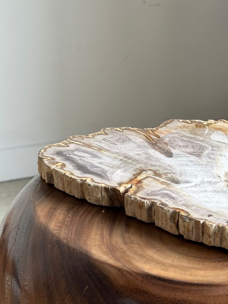 Platter and bowls - Organic dish in beige petrified times - OFFICE OBJETS
