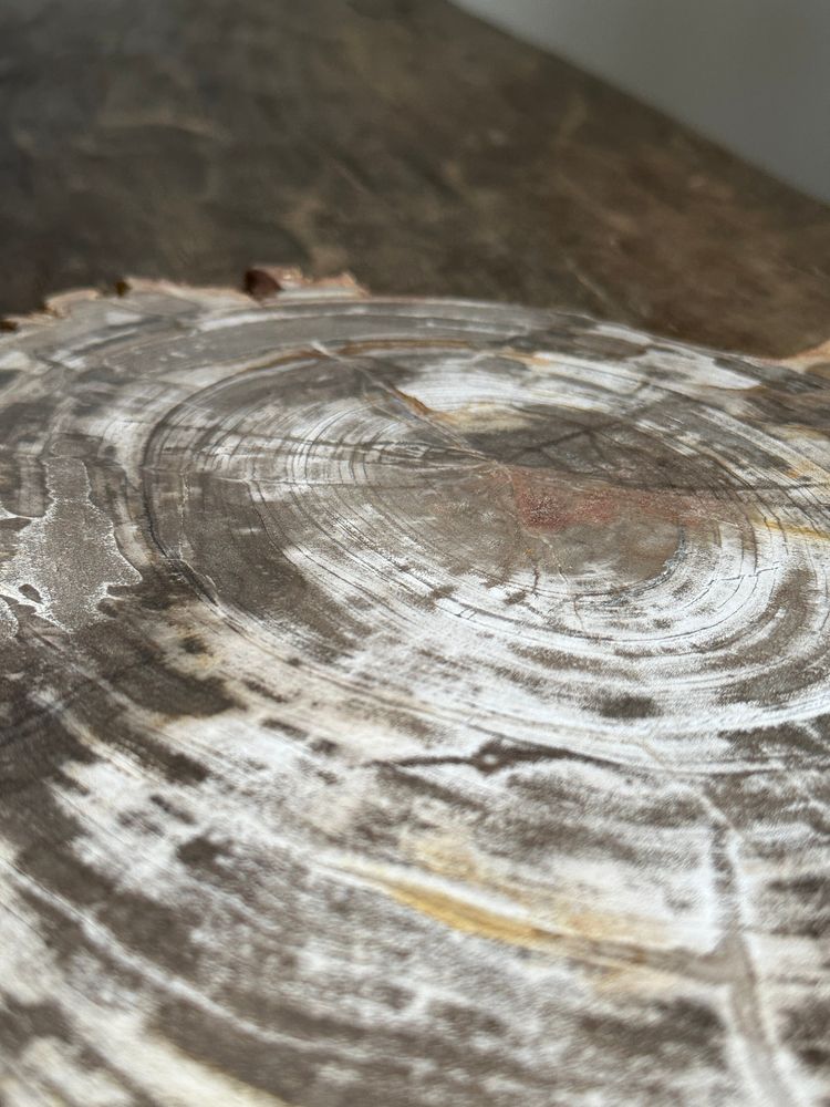 Platter and bowls - Organic dish in beige petrified times - OFFICE OBJETS