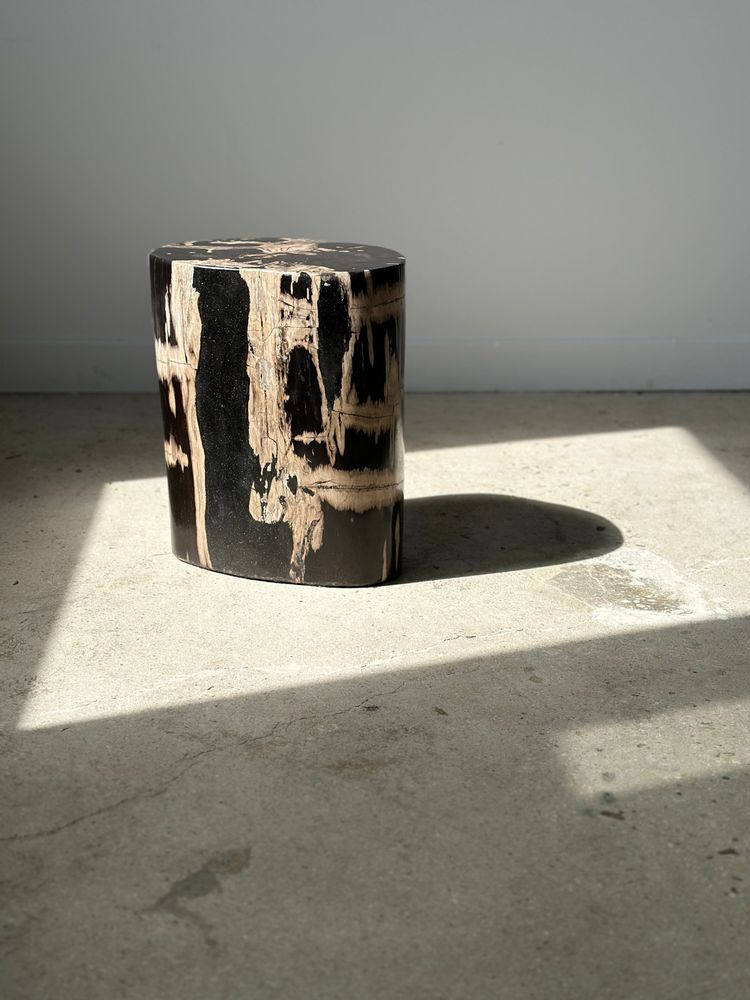 Autres tables - Table d'appoint en bois pétrifié - OFFICE OBJETS