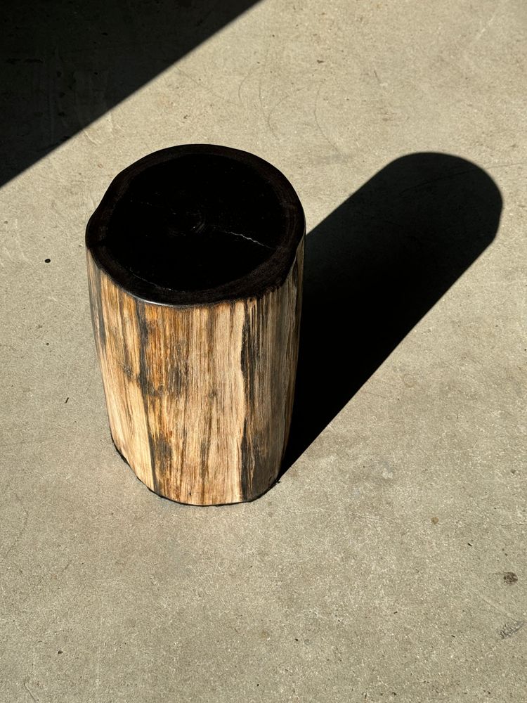 Autres tables - Table d'appoint en bois pétrifié cœur noir écorce capuccino H40 D25 - OFFICE OBJETS