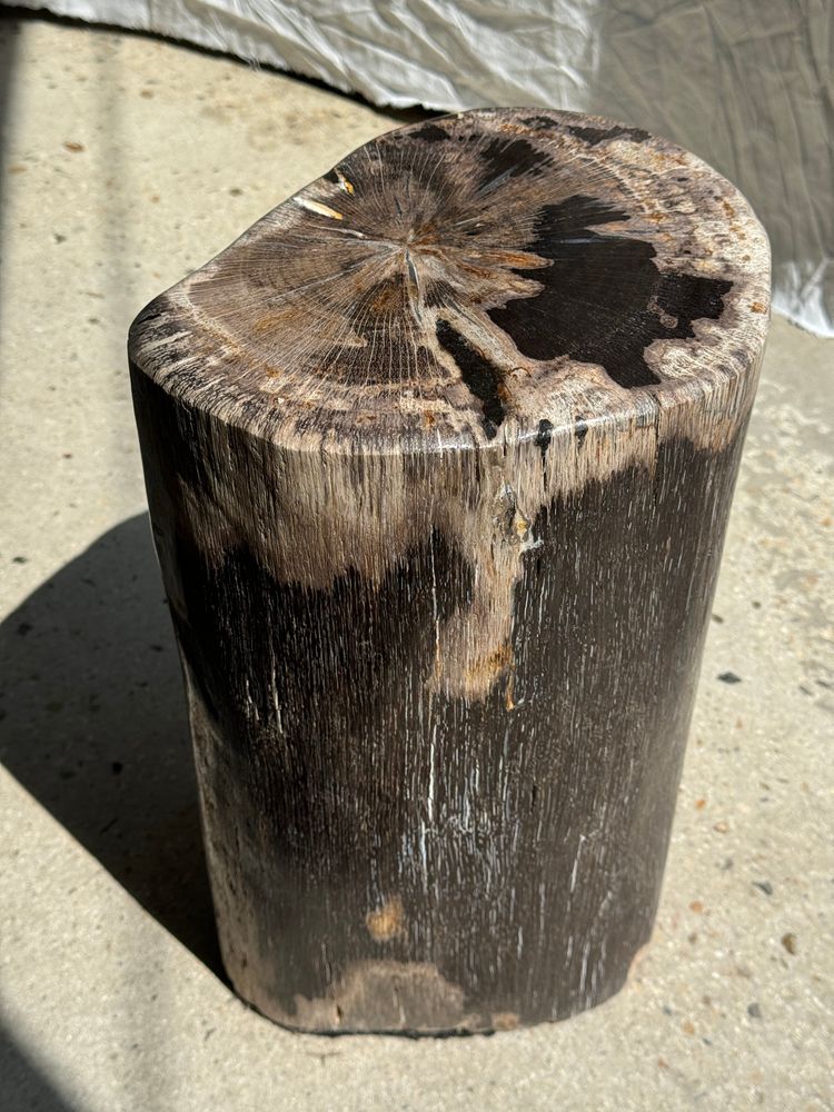Other tables - Brown multicolor organic petrified wood side table H:39 D:21-26 - OFFICE OBJETS