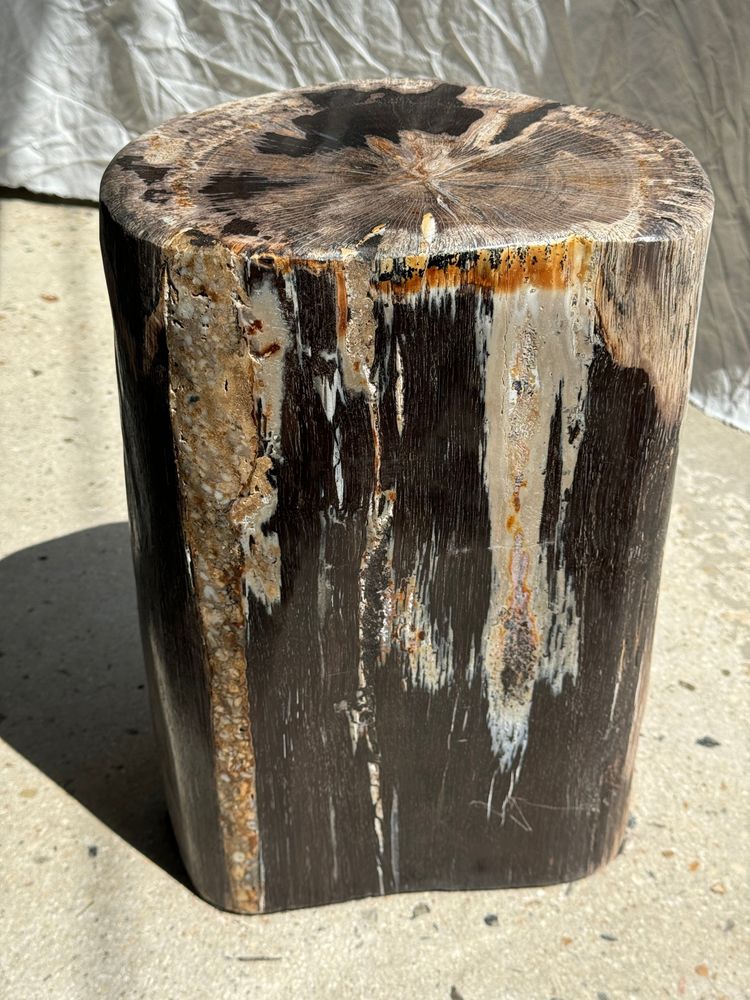 Other tables - Brown multicolor organic petrified wood side table H:39 D:21-26 - OFFICE OBJETS