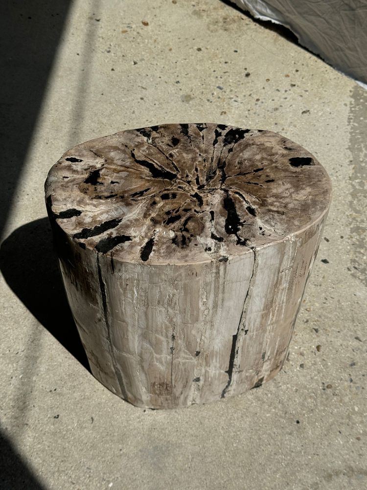 Other tables - Side table in white oval petrified wood with black streaks H:45.5 D:20 - OFFICE OBJETS