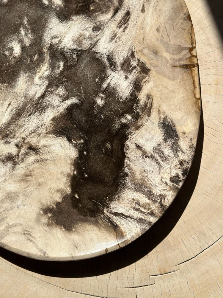 Platter and bowls - Very large empty pocket or dish in petrified wood - OFFICE OBJETS