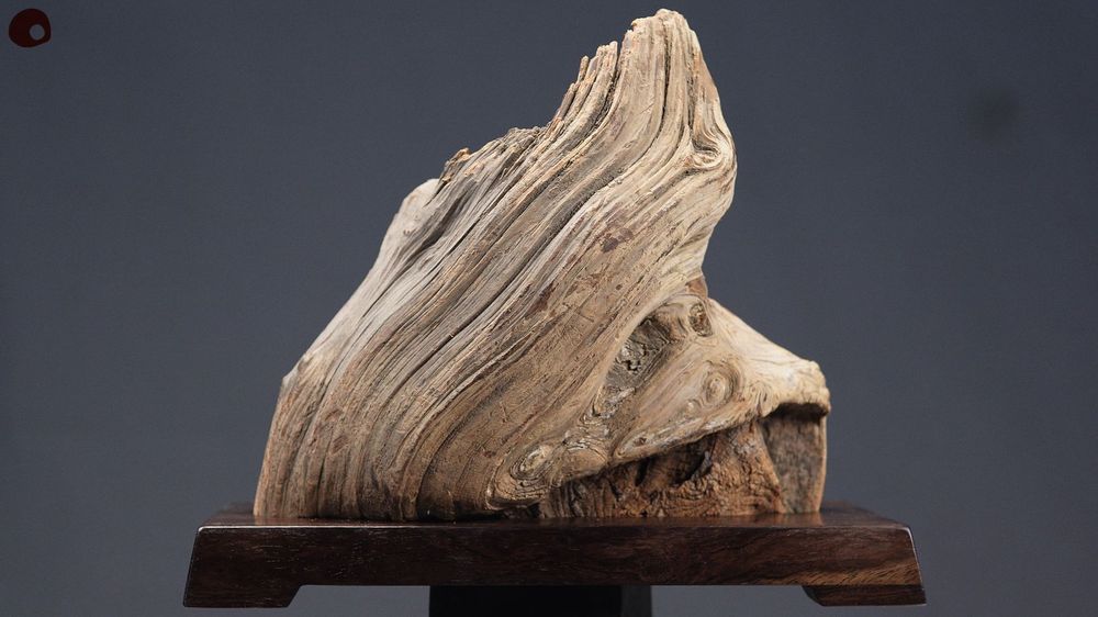 Unique pieces - Wood Flame - Landscape Sculpture - MÙ STUDIO