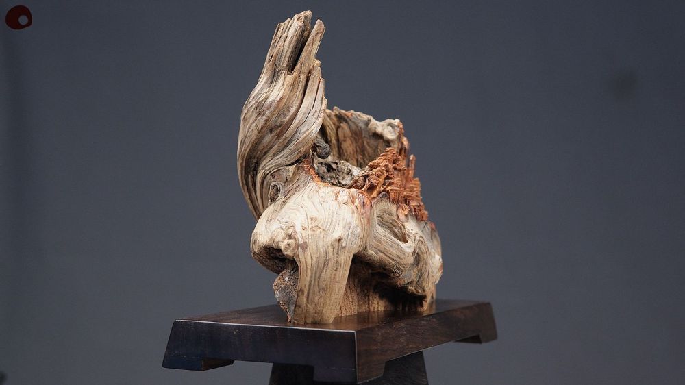 Unique pieces - Wood Flame - Landscape Sculpture - MÙ STUDIO