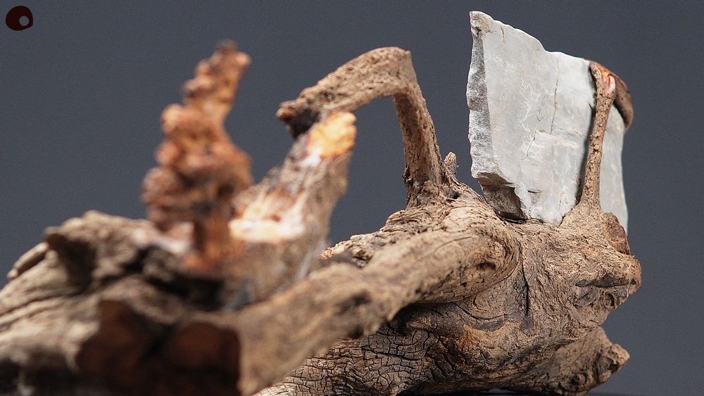 Unique pieces - Wood and Rock Sculpture - Landscape Branch - MÙ STUDIO