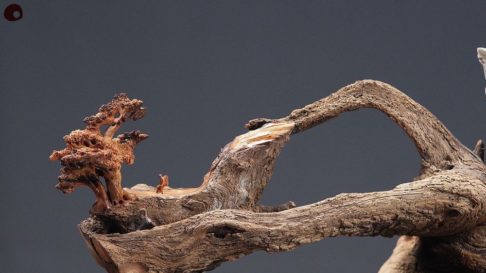 Unique pieces - Wood and Rock Sculpture - Landscape Branch - MÙ STUDIO